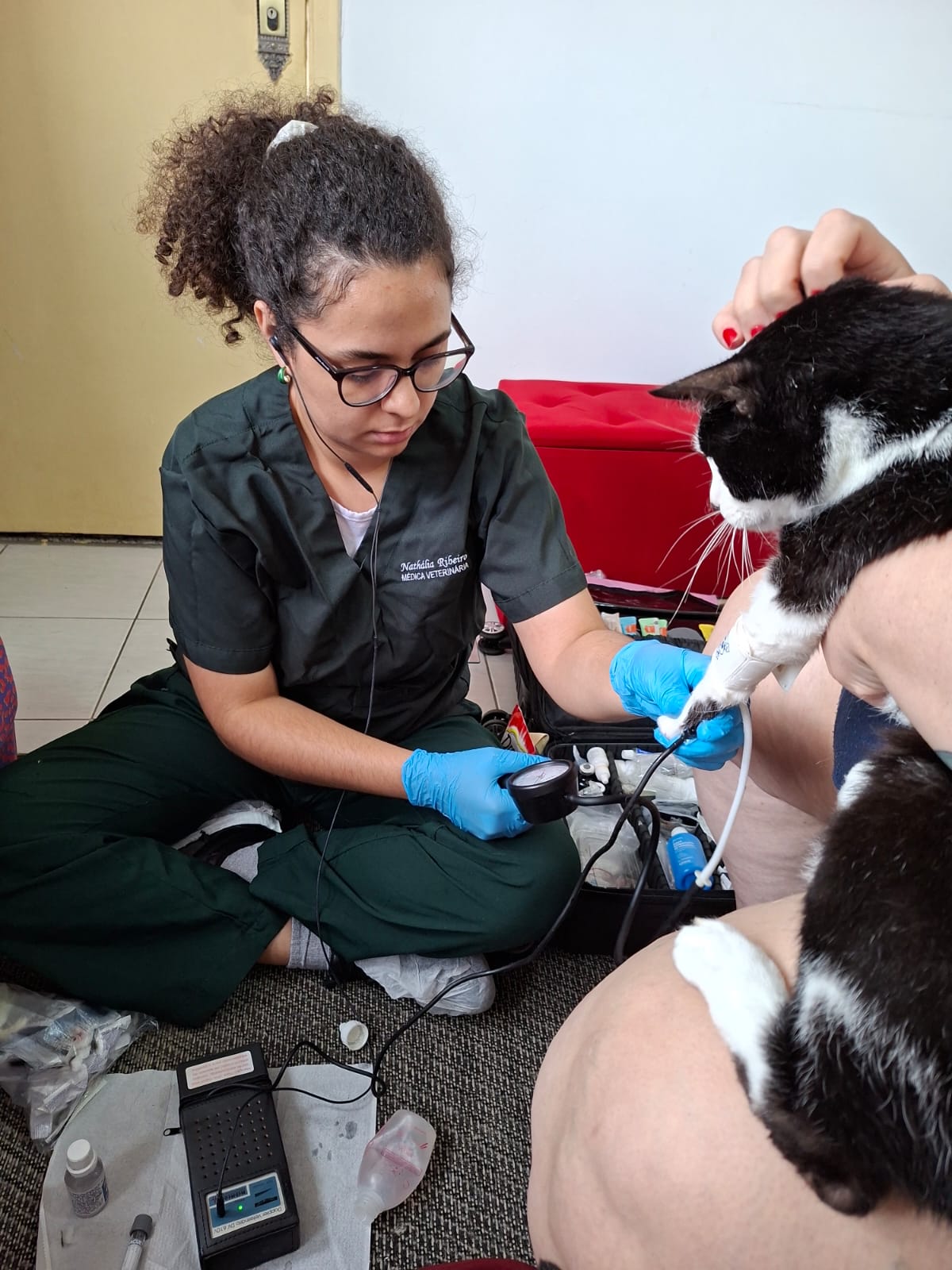 Atendimento felino domiciliar da Dra. Nathália Ribeiro